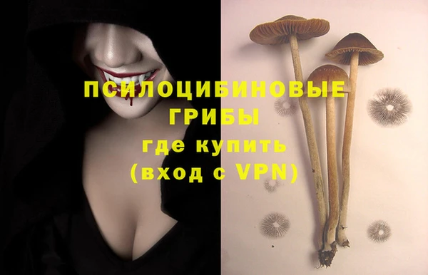 крисы Горнозаводск