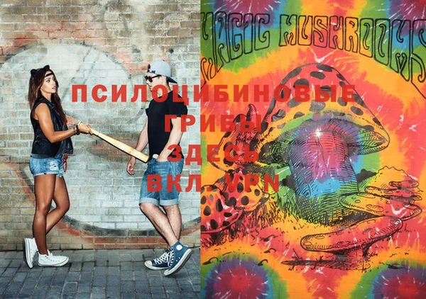 ешки Щигры