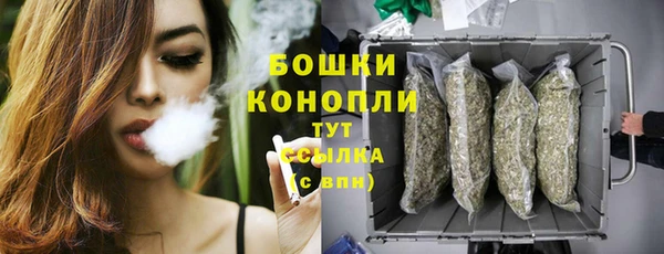 крисы Горнозаводск