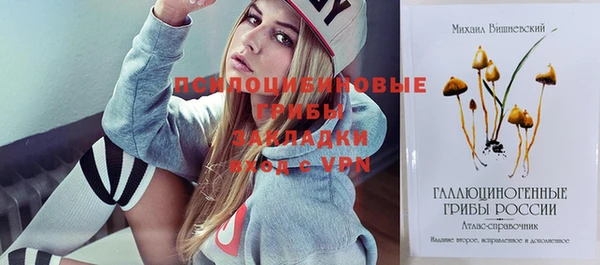 ешки Щигры