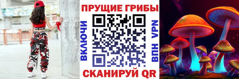 Галлюциногенные грибы прущие грибы  купить наркотики цена  Можайск 