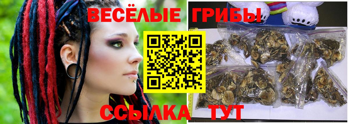 Псилоцибиновые грибы Cubensis Можайск