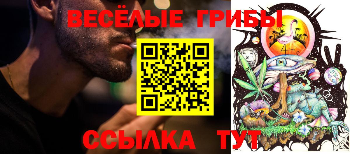 купить  цена  Галлюциногенные грибы Magic Shrooms  Вход с VPN  Можайск 